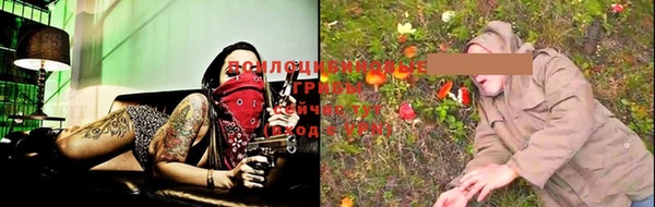 прущие грибы Богородск