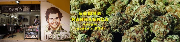ГАЛЛЮЦИНОГЕННЫЕ ГРИБЫ Богородицк
